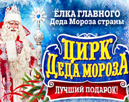 Цирк Деда Мороза: Лига зимних волшебников